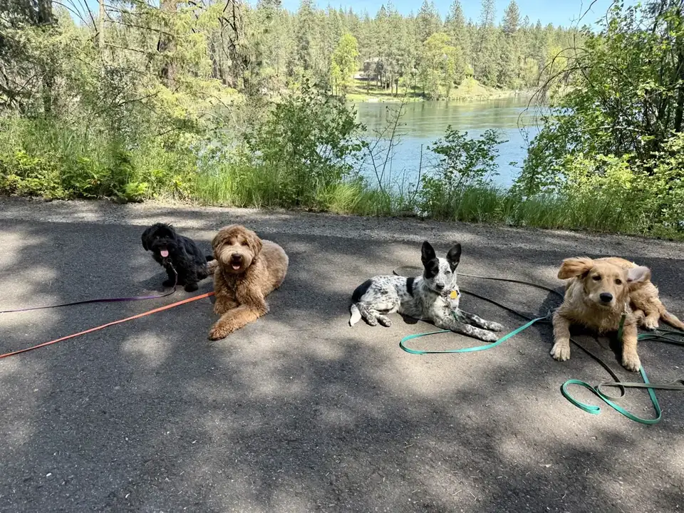 Group Classes in Spokane WA