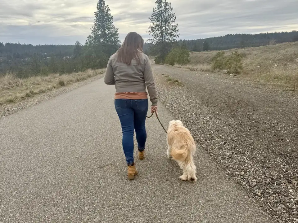 Person walking a golden dog on a loose leash down a country road during reactive dog training near Spokane