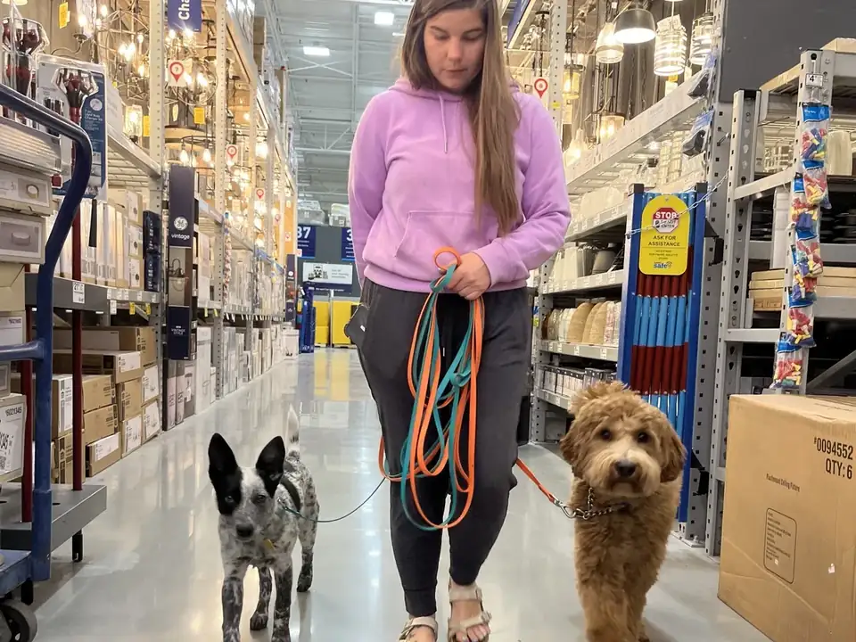 Shayla LaMonica walking two board and train dogs through a busy store in Spokane
