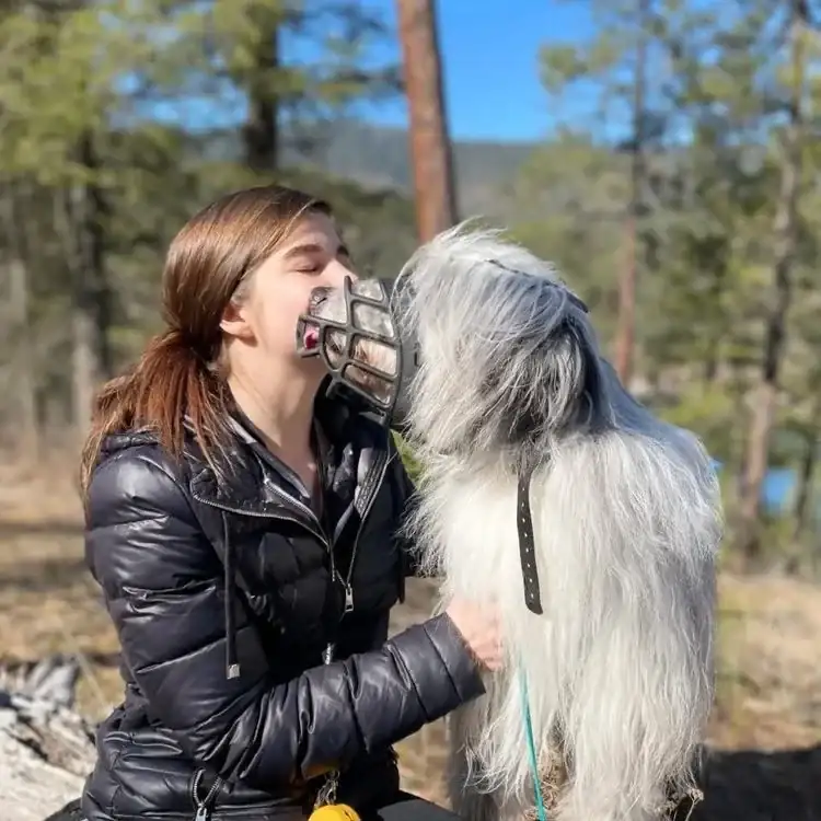 Shayla LaMonica greeting a muzzled fluffy dog outdoors during aggressive dog training near Spokane